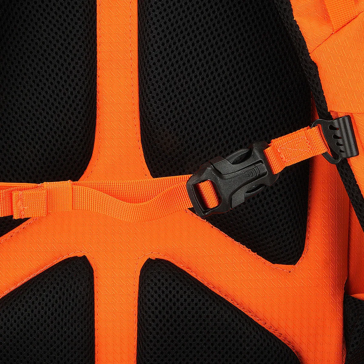 ACG Backpack (44L)