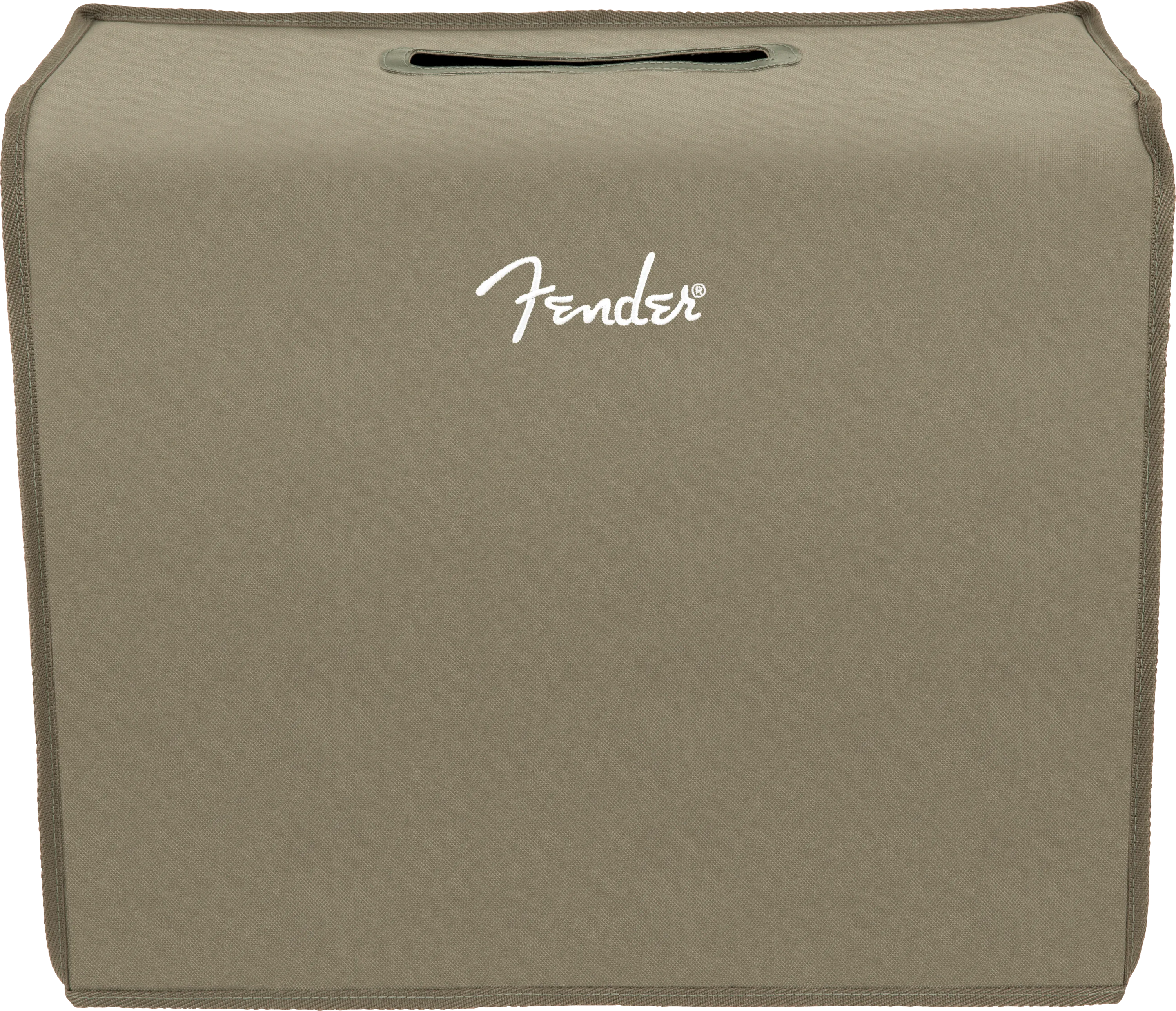 Acoustic 100 Amp Cover