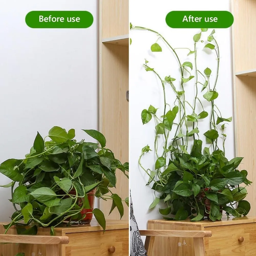 Plant climbing wall fixture