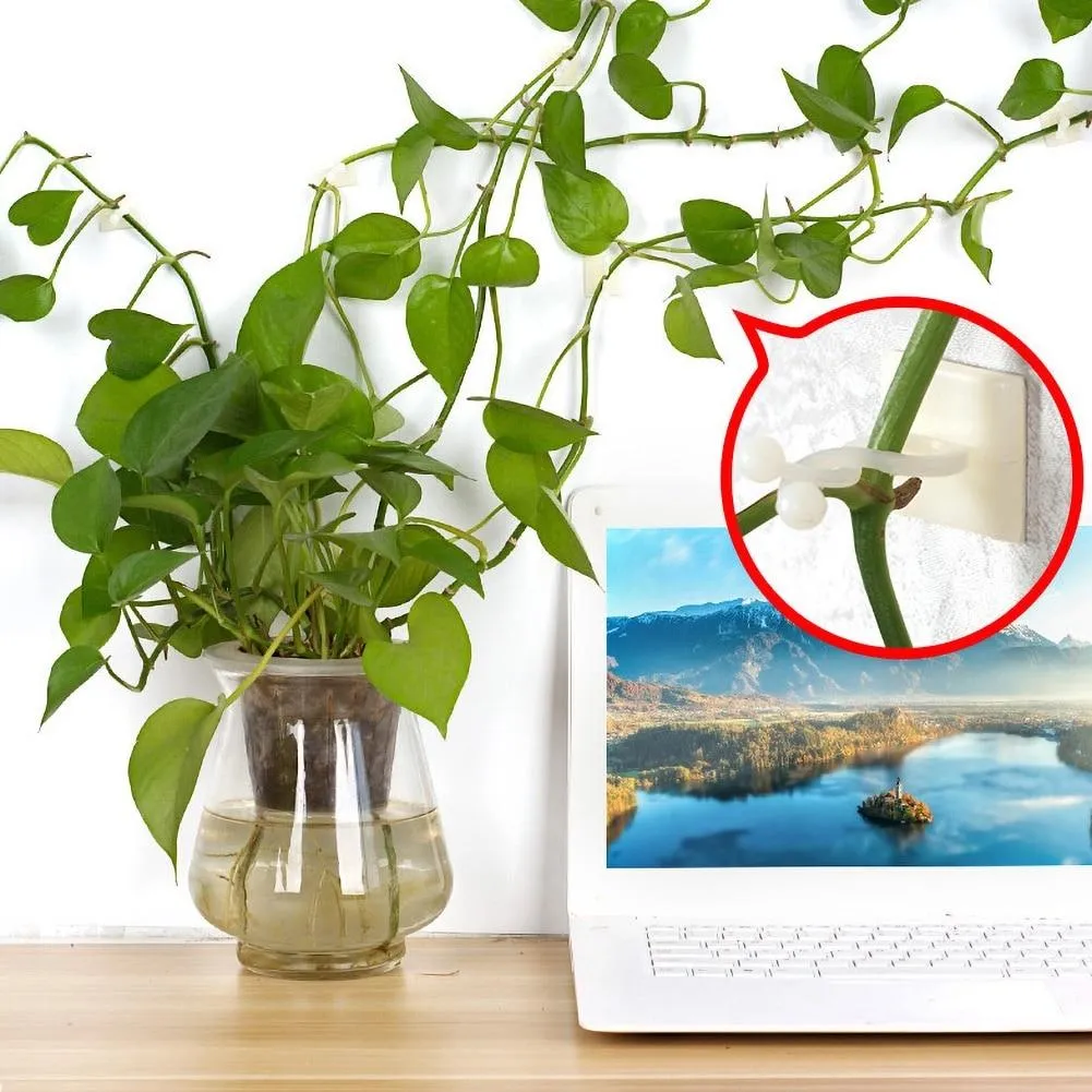 Plant climbing wall fixture